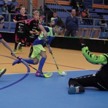 Elévové v MSH Havířov