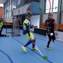 Elévové v MSH Havířov