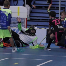 Elévové v MSH Havířov