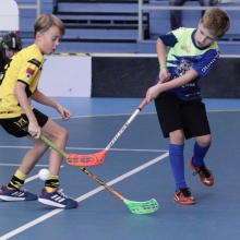 Elévové v MSH Havířov