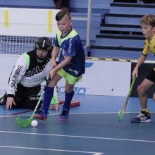 Elévové v MSH Havířov