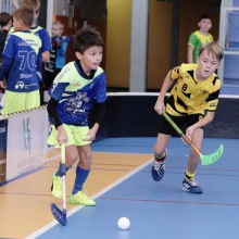 Elévové v MSH Havířov