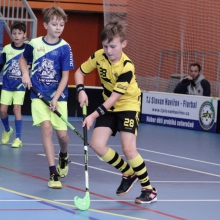 Elévové v MSH Havířov