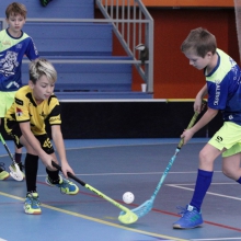 Elévové v MSH Havířov