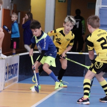 Elévové v MSH Havířov