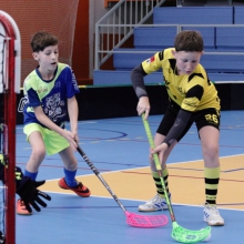 Elévové v MSH Havířov