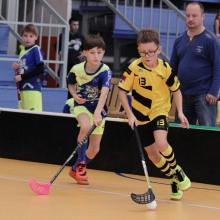 Elévové v MSH Havířov