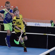 Elévové v MSH Havířov
