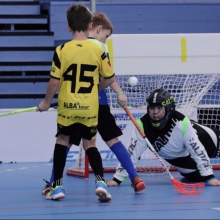 Elévové v MSH Havířov