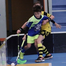 Elévové v MSH Havířov