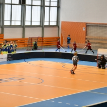 Přípravka v Havířově bronzová