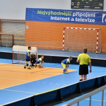 Přípravka v Havířově bronzová