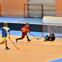 Přípravka v Havířově bronzová