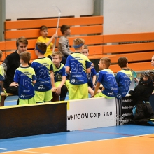 Přípravka v Havířově bronzová