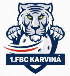 Pozvánka na běžecký závod Karviná Run