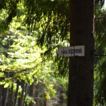 Víkendové soustředění elévů a mladších žáků