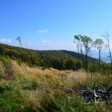 Víkendové soustředění elévů a mladších žáků