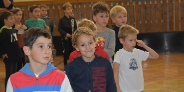 Stříbrná přípravka Štěpánkovicích
