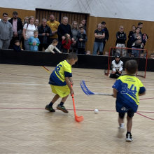 Přípravka vyzvala Torpedo Havířov!