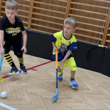 Přípravka vyzvala Torpedo Havířov!