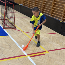 Přípravka vyzvala Torpedo Havířov!