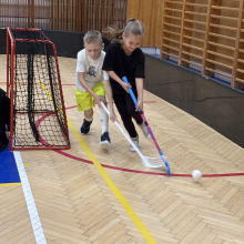 Přípravka vyzvala Torpedo Havířov!