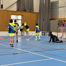 Domácí zápasy starších žáků