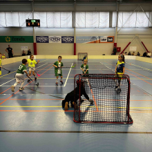 Minipřípravka v Budišovicích