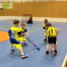 Turnaj minipřípravky v Horní Suché